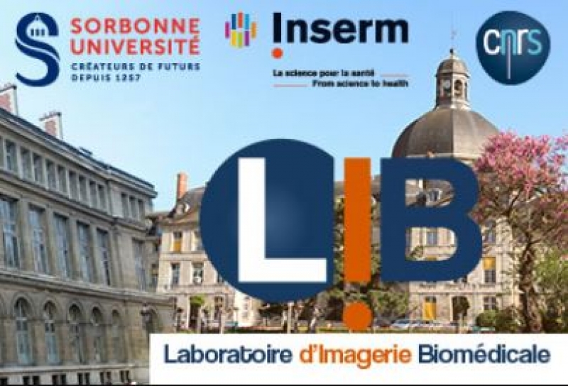 Laboratoire d'Imagerie Biomédicale (LIB)