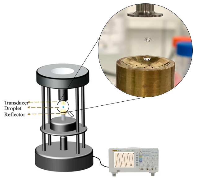2026 These WIEDEMANN FODE