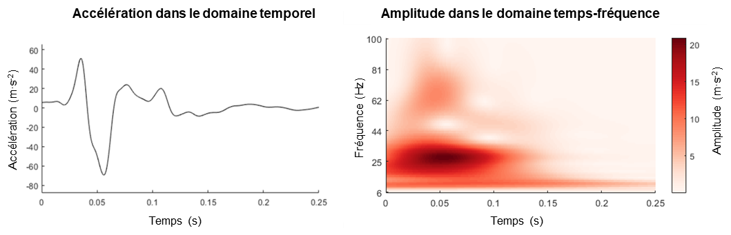 Fig1 Trama