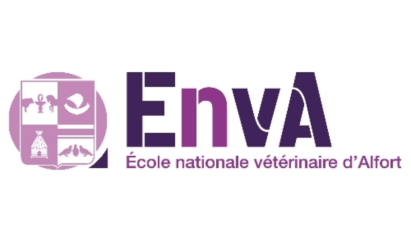 Unité INRA-ENVA 957 BPLC (Biomécanique et Pathologie Locomotrice du Cheval)