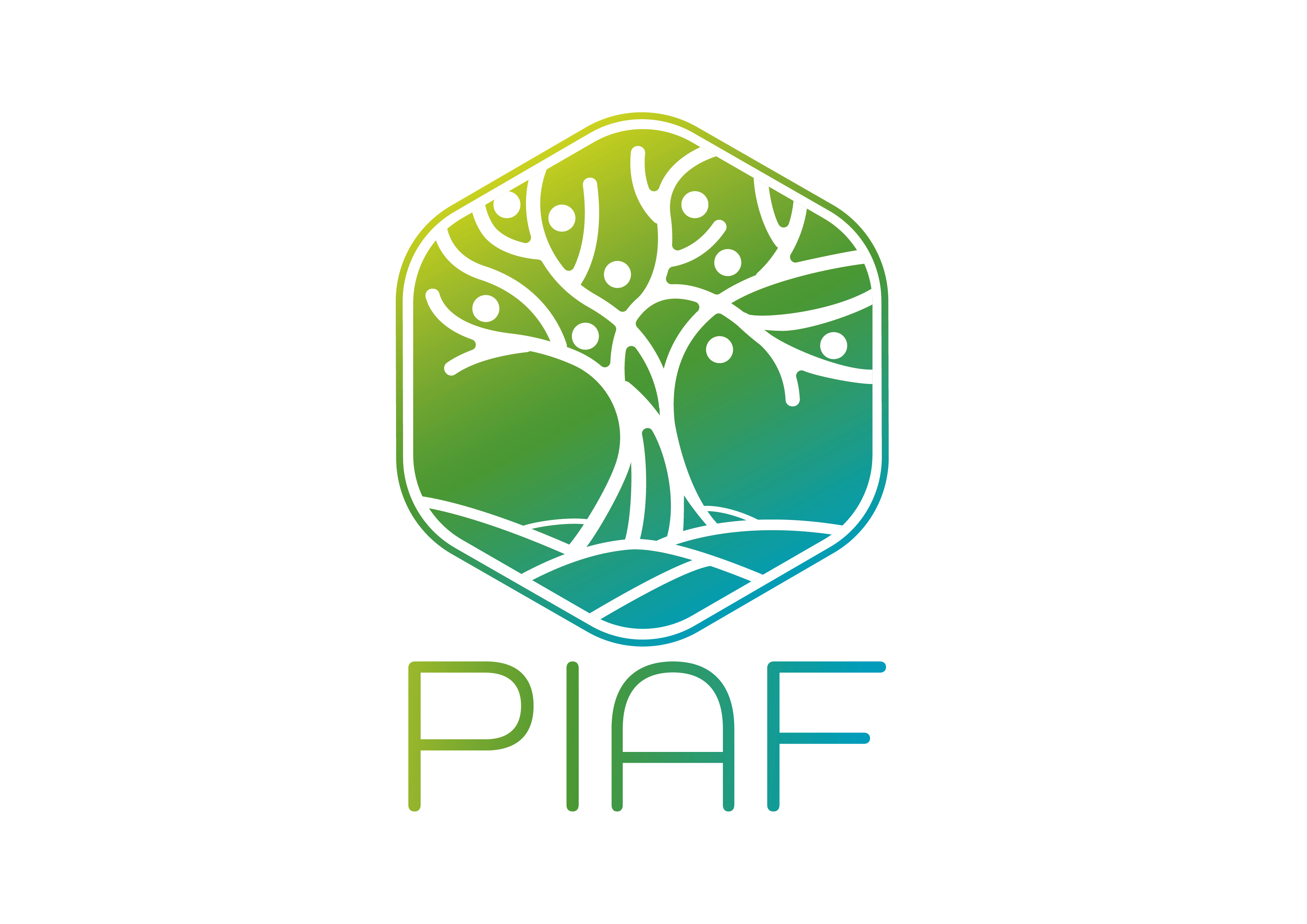 Physique et physiologie Intégratives des Arbres en environnement fluctuant (PIAF)