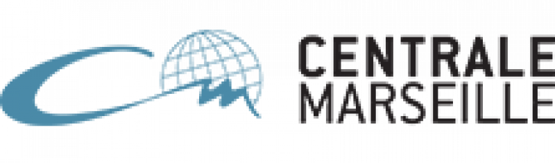 Master Complex Systems Engineering Ecole Centrale Marseille
