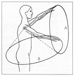 Fig 02 Bernstein