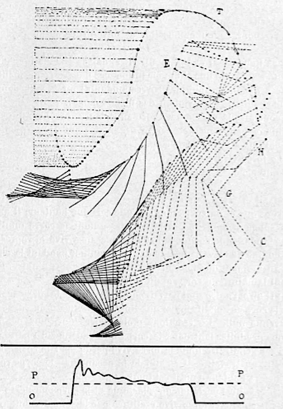 Fig 02 Demeny