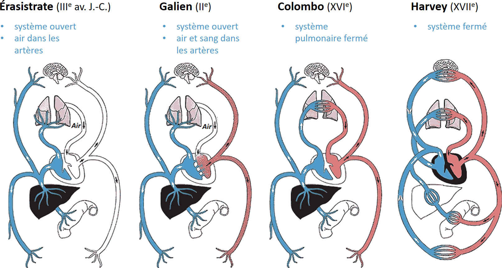 fig2